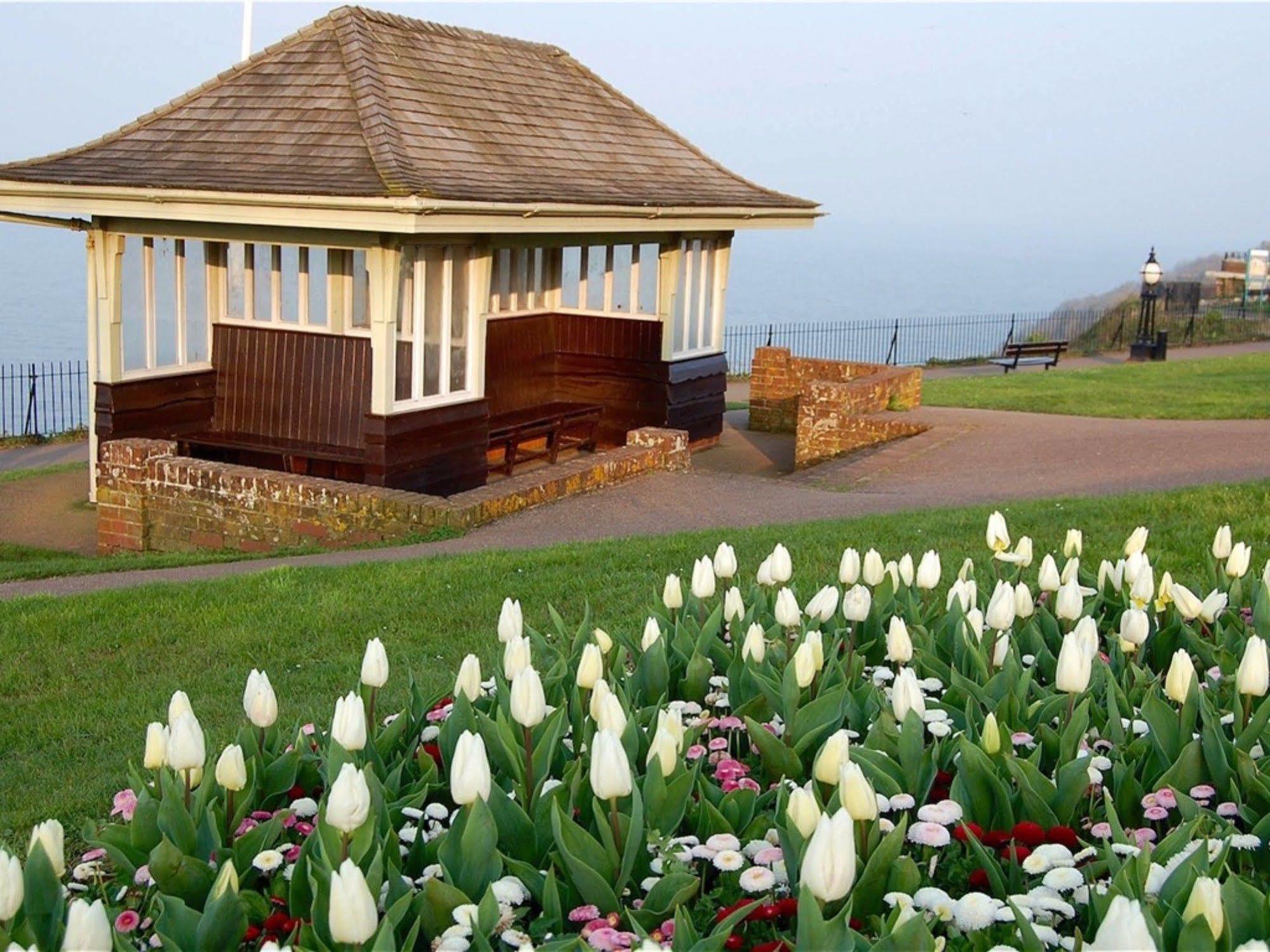 Headland View Boutique B&B Torquay Exterior foto